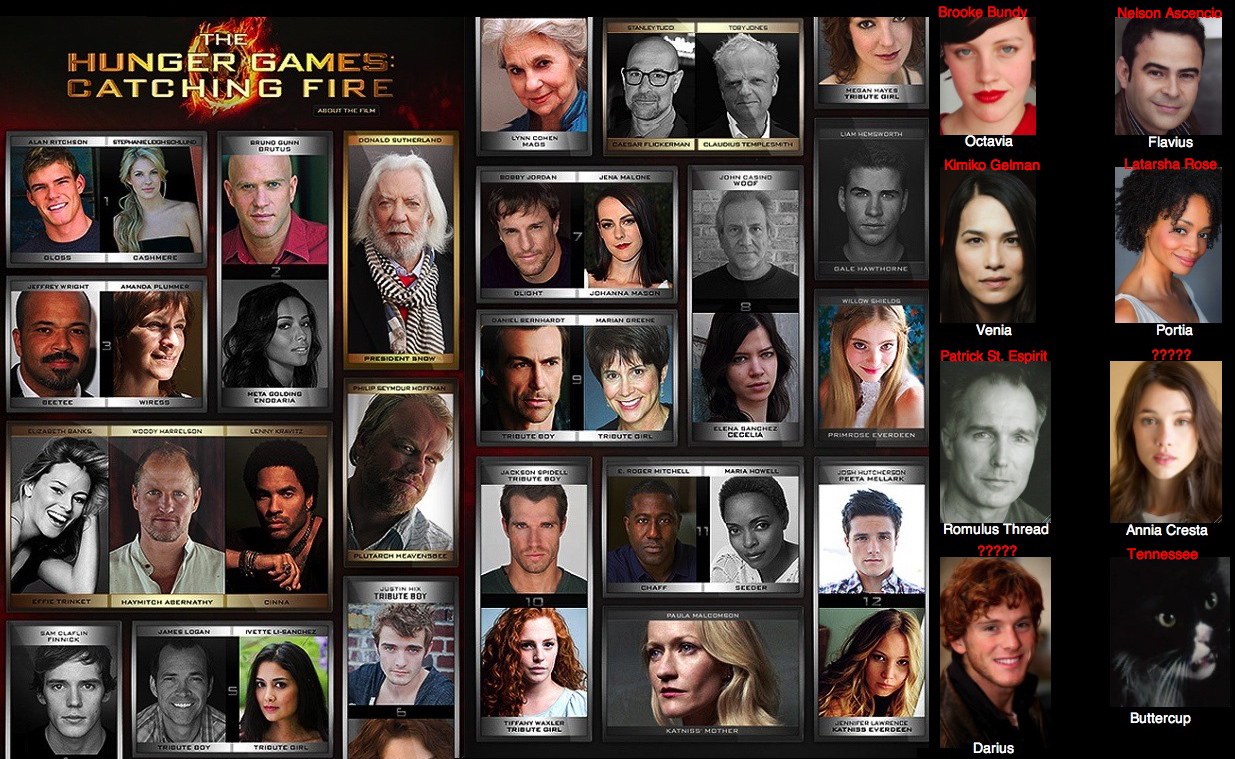 Hunger Games Catching Fire Cast
